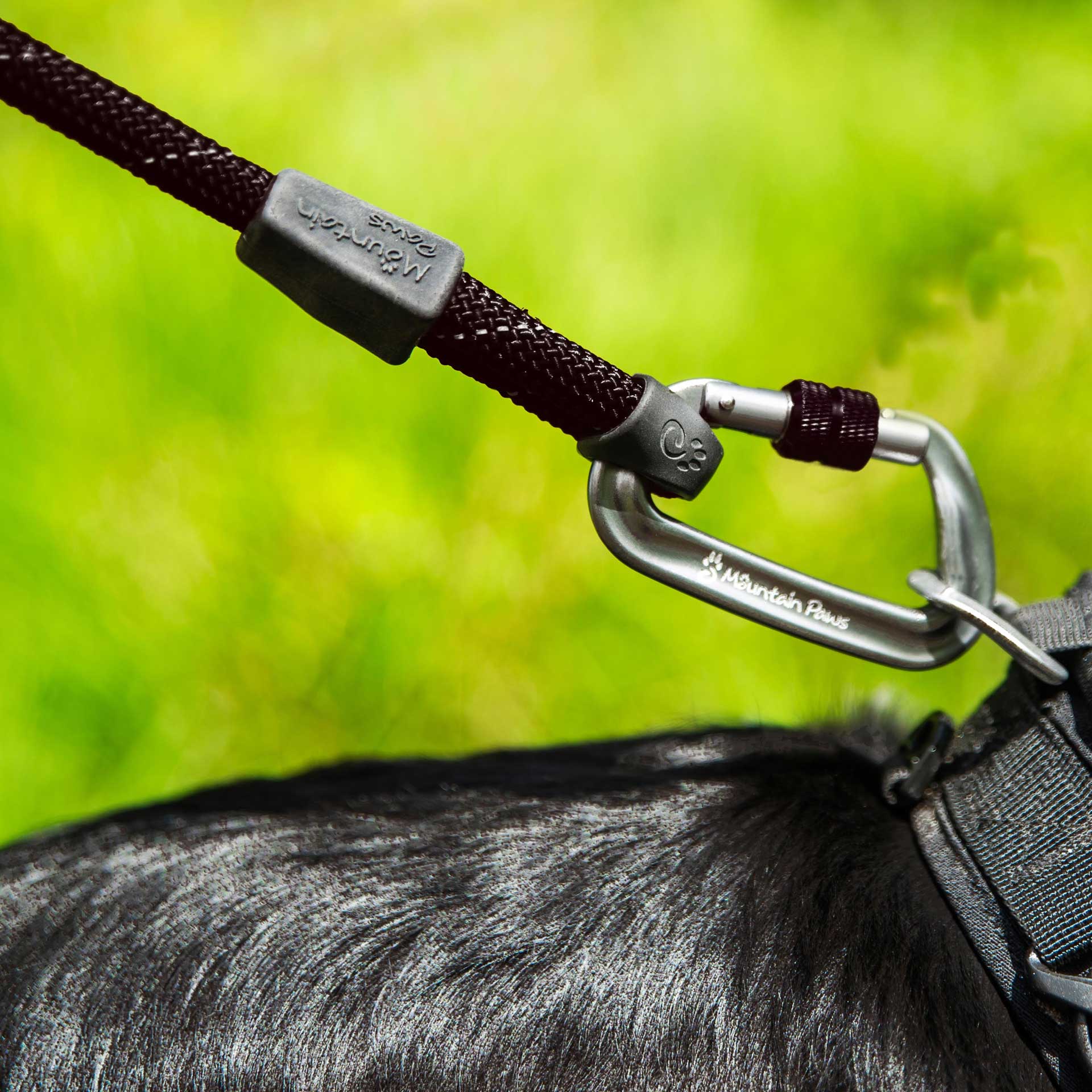 Rope Dog Lead Climbing Rope Dog Leads Mountain Paws