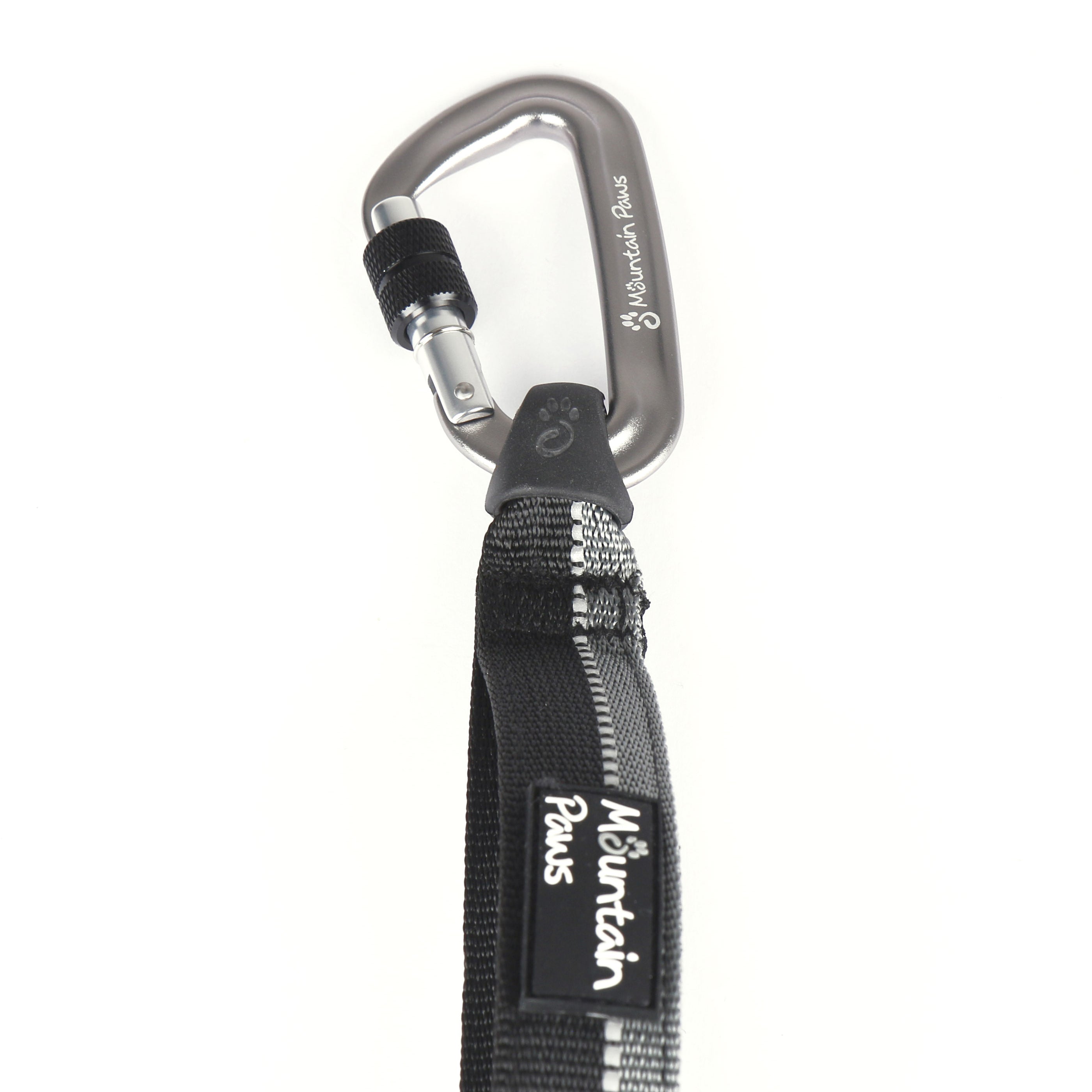 Best shock best sale absorbing dog lead