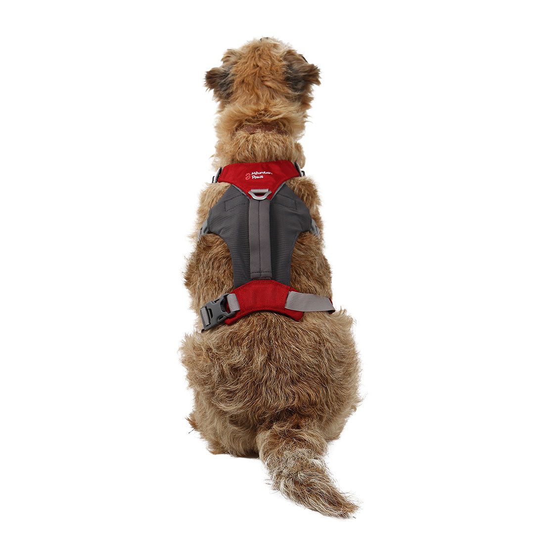 Best hiking sales harness for dogs