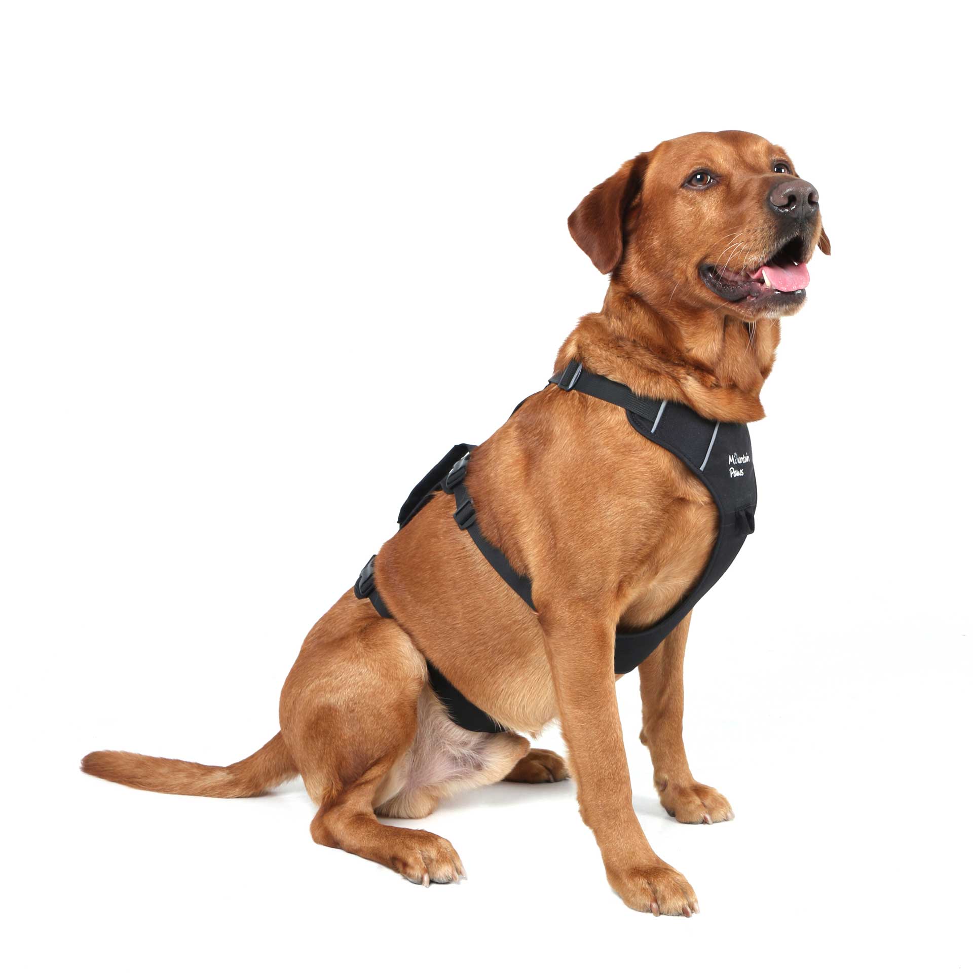 3 Strap Dog Harness Mountain Paws