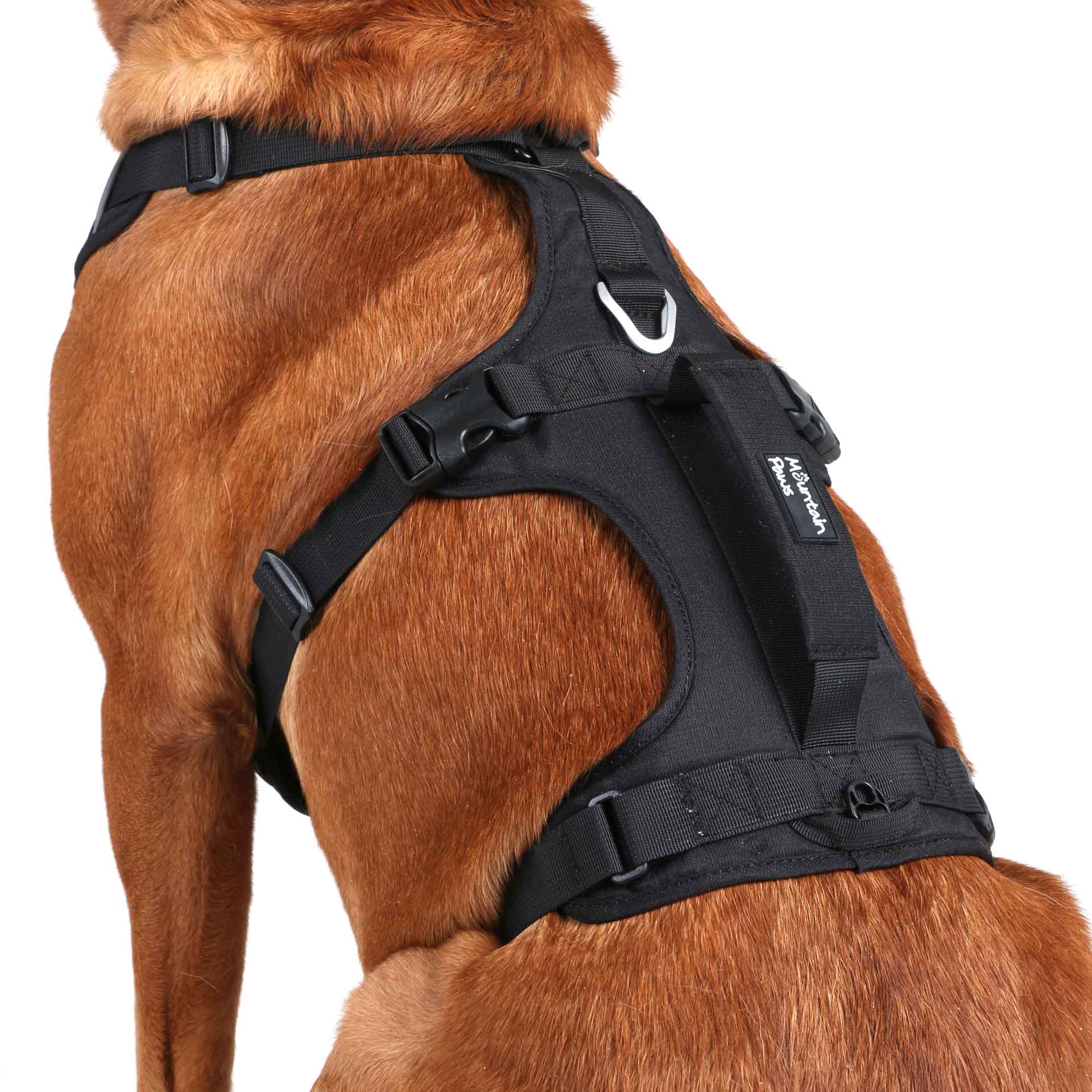 3 Strap Dog Harness Mountain Paws