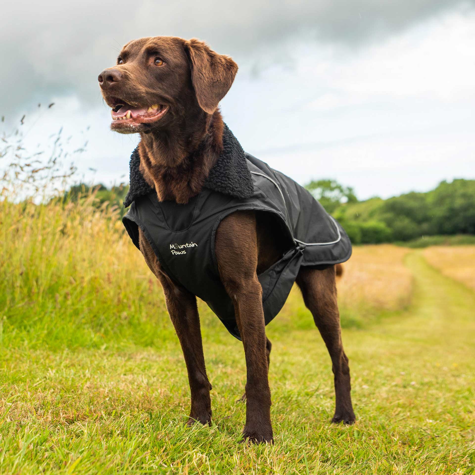 Mountain dog fleece hotsell