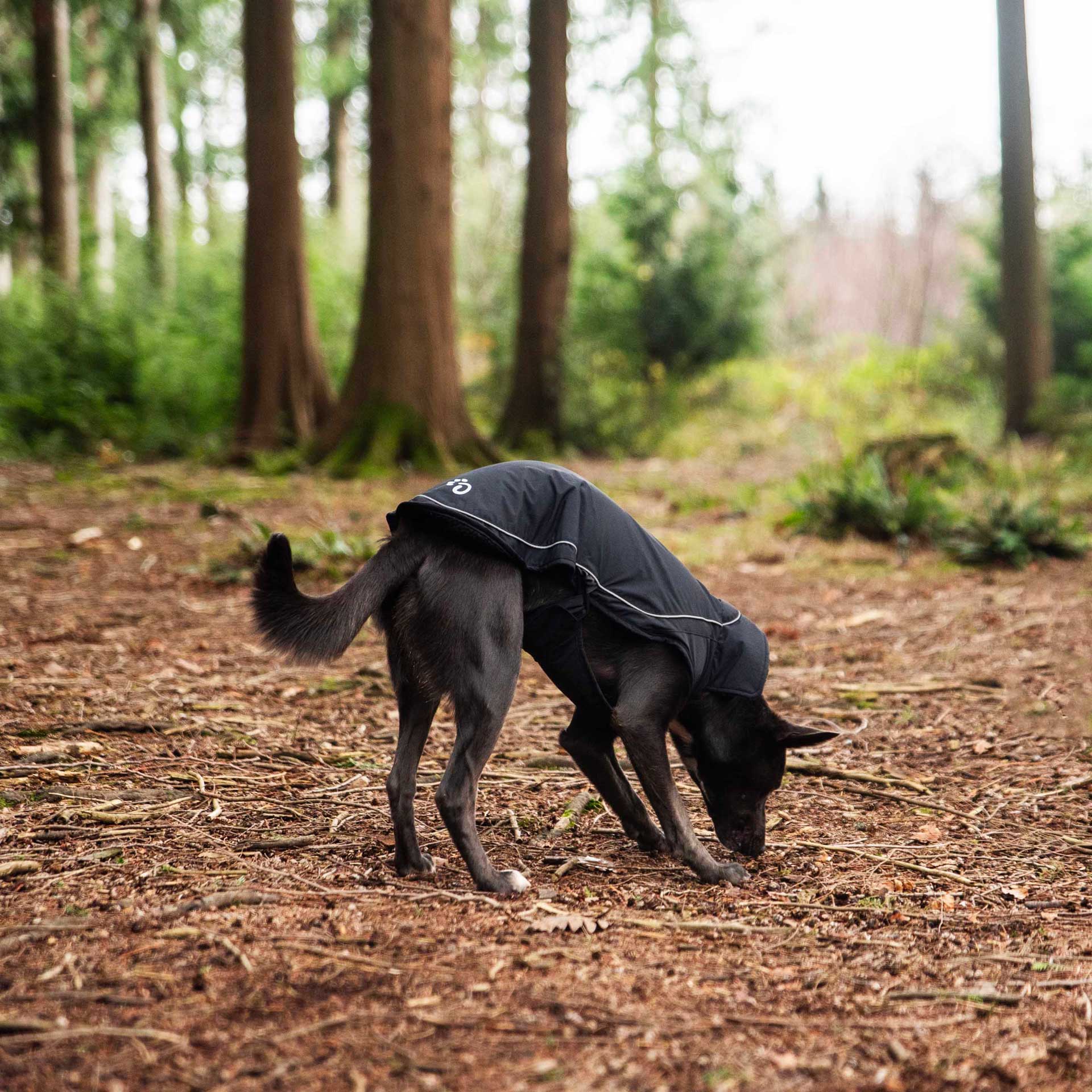 Fleece Lined Dog Coat Mountain Paws