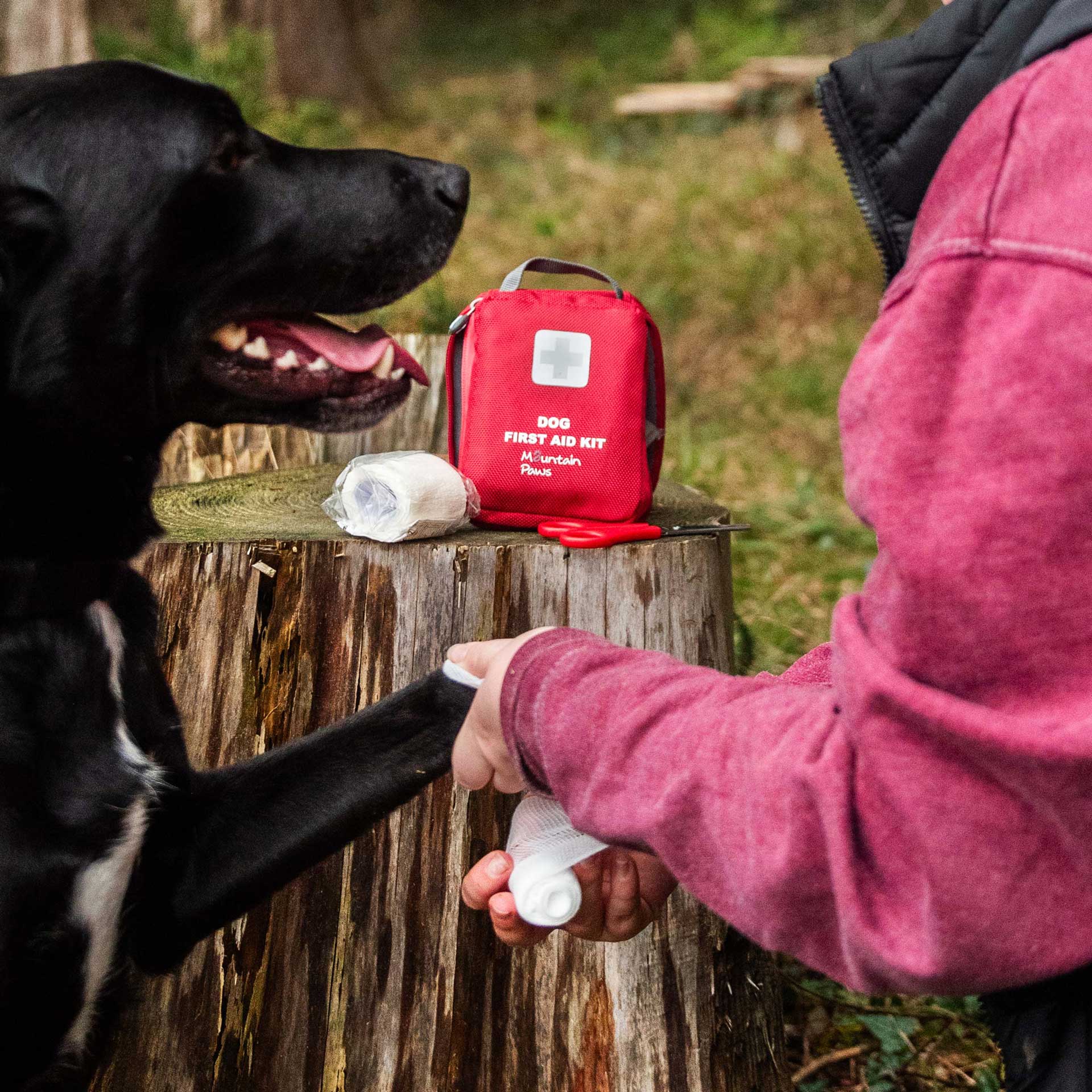 First aid outlet kits for dogs